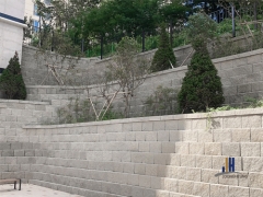 그라비월